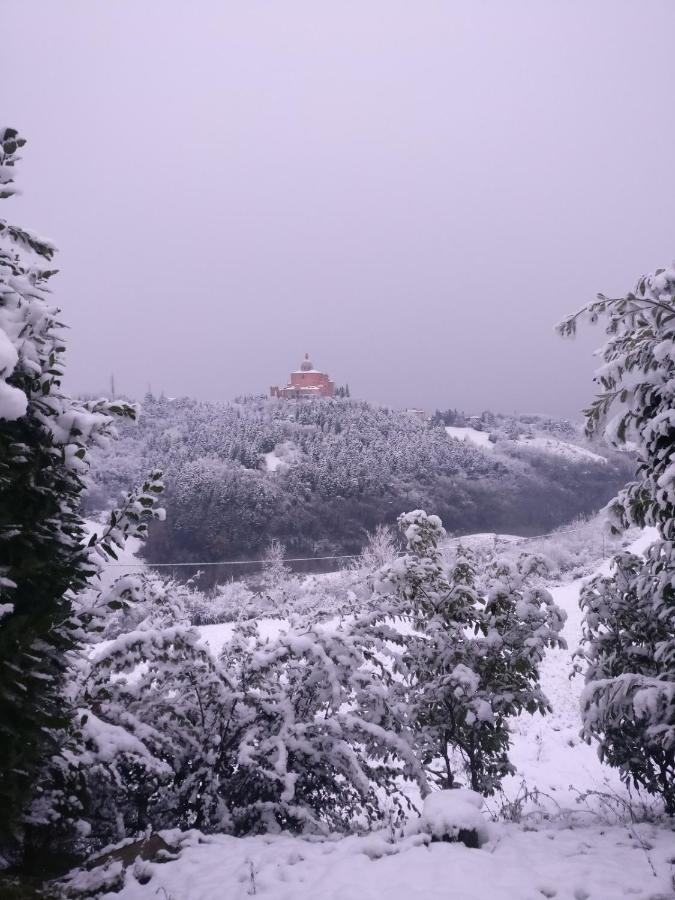 בולוניה B&B Poggio San Luca מראה חיצוני תמונה